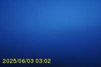 Img20250603_030245.jpg