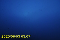 Img20250603_030745.jpg
