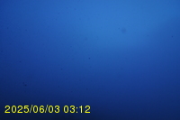 Img20250603_031246.jpg