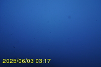 Img20250603_031745.jpg