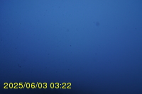 Img20250603_032245.jpg