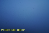 Img20250603_033246.jpg