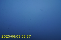 Img20250603_033746.jpg