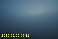 Img20250603_034246.jpg