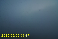 Img20250603_034746.jpg