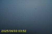 Img20250603_035246.jpg