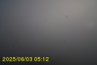 Img20250603_051246.jpg