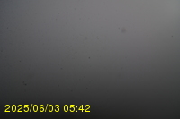 Img20250603_054246.jpg