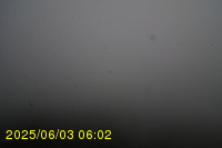 Img20250603_060246.jpg