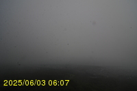 Img20250603_060746.jpg