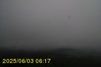 Img20250603_061746.jpg