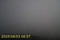 Img20250603_063746.jpg