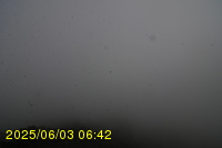 Img20250603_064246.jpg