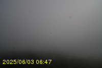 Img20250603_064746.jpg