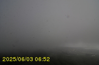 Img20250603_065246.jpg