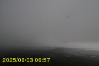 Img20250603_065746.jpg