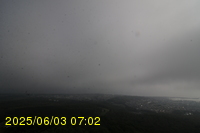 Img20250603_070246.jpg