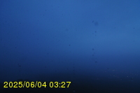 Img20250604_032749.jpg