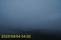 Img20250604_040250.jpg