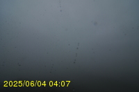 Img20250604_040750.jpg
