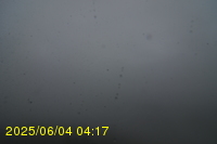 Img20250604_041750.jpg