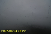Img20250604_042250.jpg