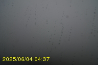 Img20250604_043750.jpg