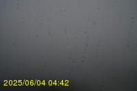 Img20250604_044250.jpg
