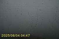 Img20250604_044750.jpg