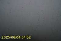 Img20250604_045250.jpg