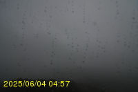 Img20250604_045750.jpg