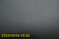 Img20250604_050250.jpg