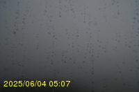 Img20250604_050750.jpg