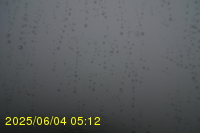 Img20250604_051250.jpg