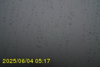Img20250604_051750.jpg