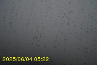 Img20250604_052250.jpg
