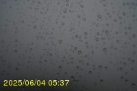 Img20250604_053750.jpg