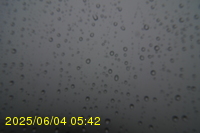 Img20250604_054250.jpg