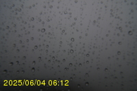 Img20250604_061250.jpg