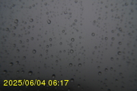 Img20250604_061750.jpg