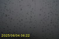 Img20250604_062250.jpg