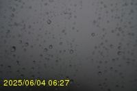 Img20250604_062750.jpg