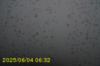 Img20250604_063250.jpg