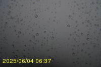 Img20250604_063750.jpg