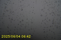 Img20250604_064250.jpg