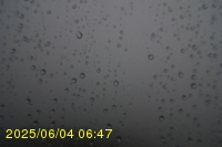 Img20250604_064750.jpg