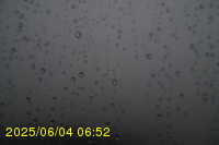 Img20250604_065250.jpg