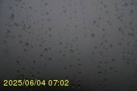 Img20250604_070250.jpg