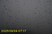Img20250604_071750.jpg