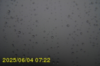 Img20250604_072250.jpg